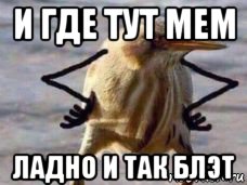 и где тут мем ладно и так блэт
