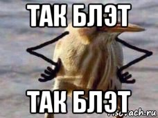 так блэт так блэт