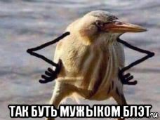  так буть мужыком блэт