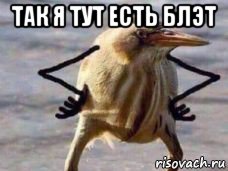 так я тут есть блэт 