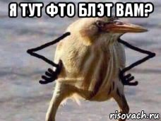 я тут фто блэт вам? 