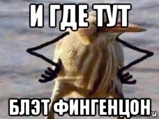 и где тут блэт фингенцон