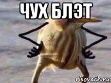 чух блэт 