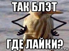 так блэт где лайки?