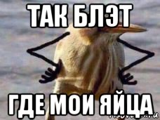 так блэт где мои яйца