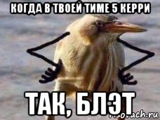 когда в твоей тиме 5 керри так, блэт
