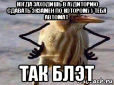 когда заходишь в аудиторию сдавать экзамен по которому у тебя автомат так блэт