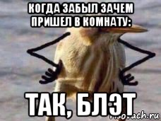 когда забыл зачем пришел в комнату: так, блэт