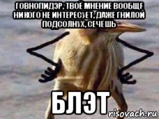 говнопидэр, твоё мнение вообще никого не интересует, даже гнилой подсолнух, сечёшь блэт