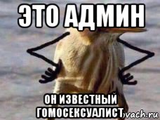 это админ он известный гомосексуалист