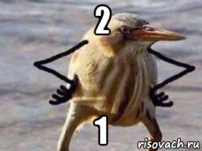 2 1