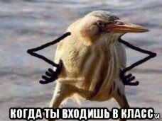 когда ты входишь в класс