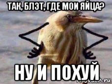 так, блэт, где мои яйца? ну и похуй