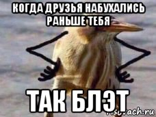когда друзья набухались раньше тебя так блэт