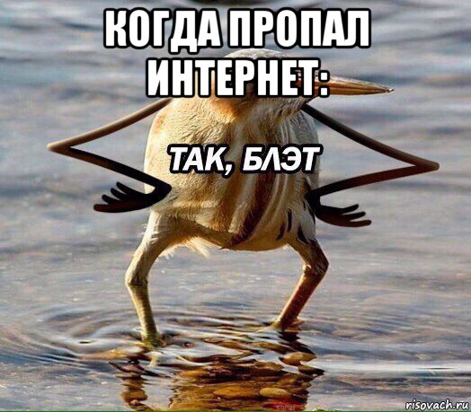 когда пропал интернет: 