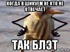 когда в шикуем не кто не отвечает так блэт