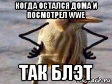 когда остался дома и посмотрел wwe так блэт