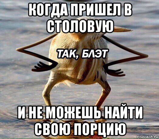 когда пришел в столовую и не можешь найти свою порцию
