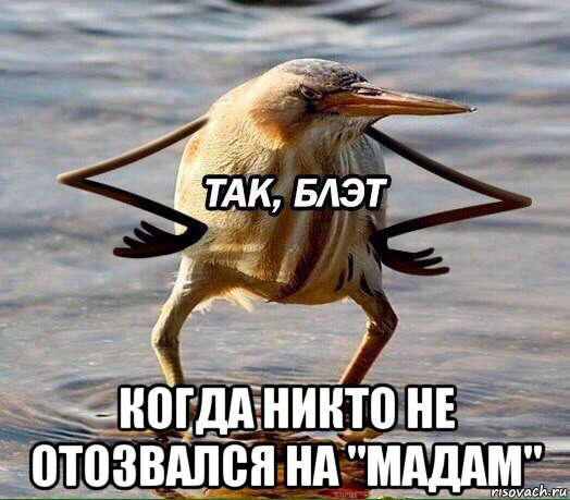  когда никто не отозвался на "мадам"