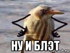  ну и блэт
