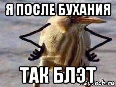 я после бухания так блэт