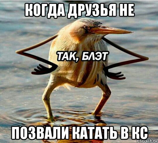 когда друзья не позвали катать в кс