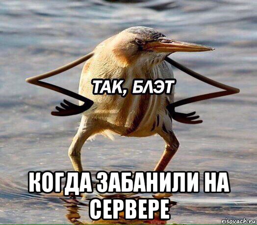  когда забанили на сервере