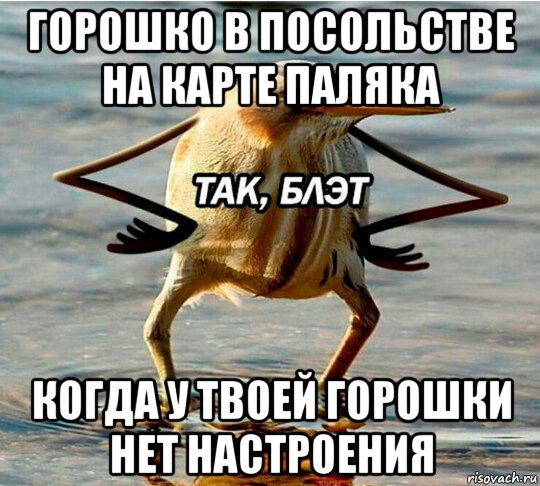 горошко в посольстве на карте паляка когда у твоей горошки нет настроения