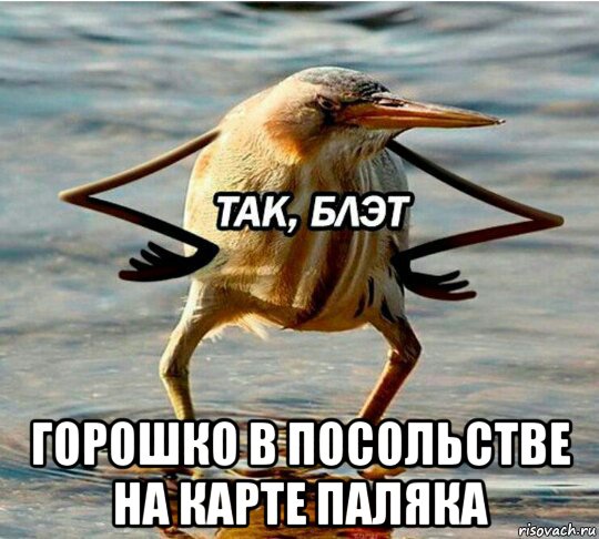  горошко в посольстве на карте паляка
