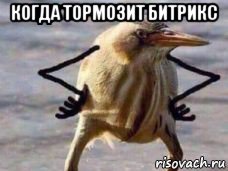 когда тормозит битрикс 