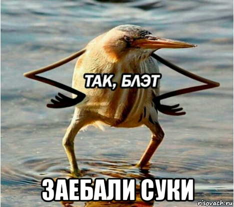 заебали суки
