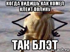 когда видишь как комел клеит полину так блэт
