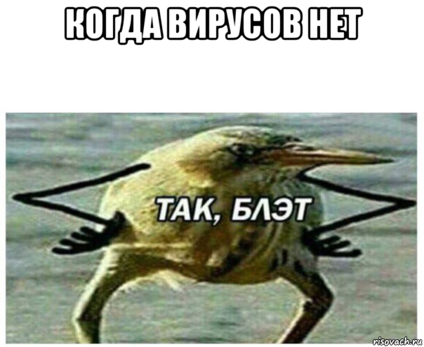 когда вирусов нет 