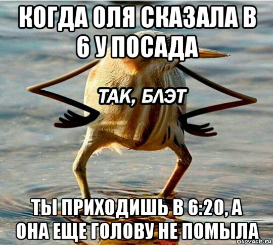 когда оля сказала в 6 у посада ты приходишь в 6:20, а она еще голову не помыла