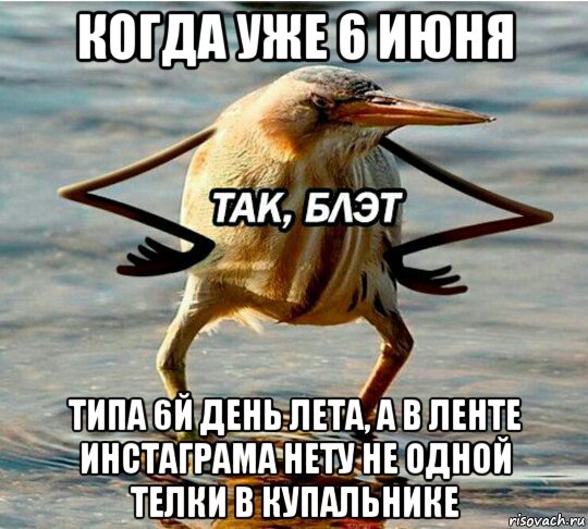 когда уже 6 июня типа 6й день лета, а в ленте инстаграма нету не одной телки в купальнике