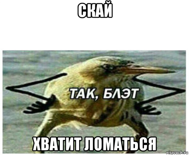 скай хватит ломаться