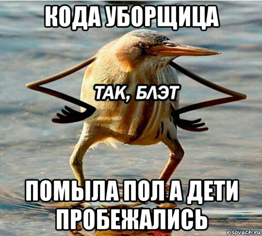 кода уборщица помыла пол а дети пробежались