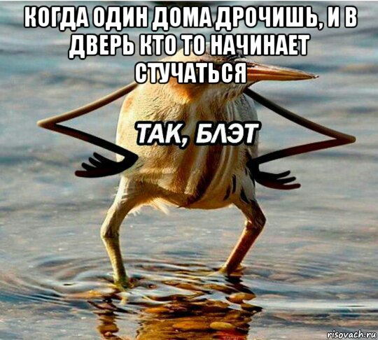 когда один дома дрочишь, и в дверь кто то начинает стучаться 