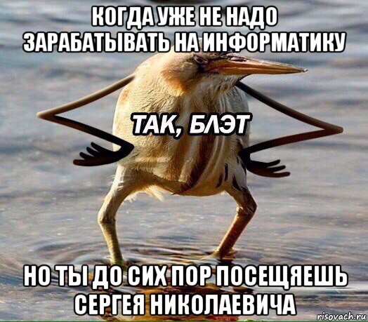 когда уже не надо зарабатывать на информатику но ты до сих пор посещяешь сергея николаевича