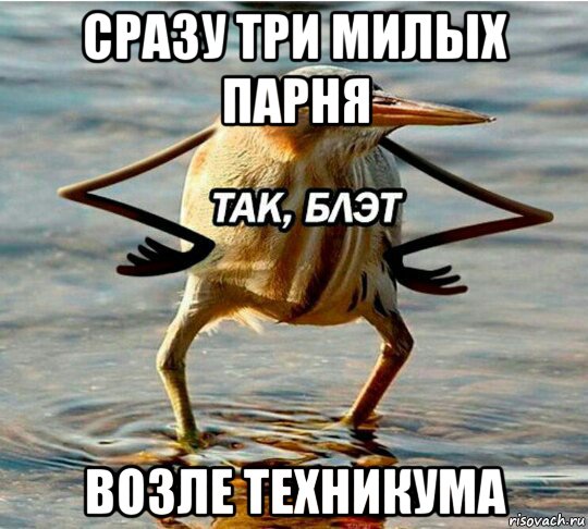 сразу три милых парня возле техникума