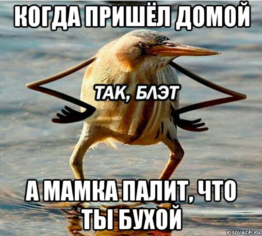 когда пришёл домой а мамка палит, что ты бухой