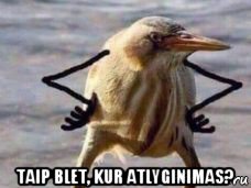  taip blet, kur atlyginimas?