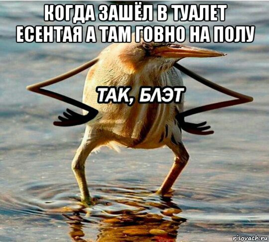 когда зашёл в туалет есентая а там говно на полу 