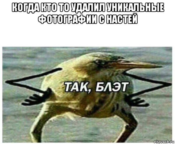 когда кто то удалил уникальные фотографии с настей 