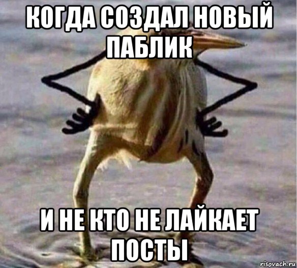 когда создал новый паблик и не кто не лайкает посты, Мем Так Блэт