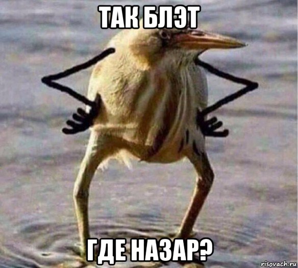так блэт где назар?, Мем Так Блэт