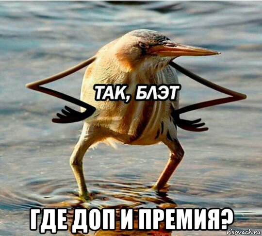  где доп и премия?
