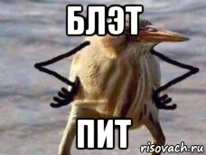 блэт пит