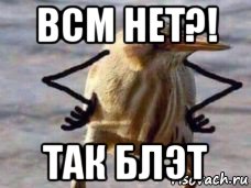 всм нет?! так блэт