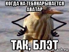 когда на тебянарывается аватар так, блэт